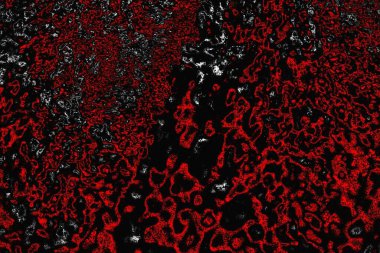 grungy renksiz soyut doku arkaplanı, kopya alan duvar kağıdı tasarımı konsepti