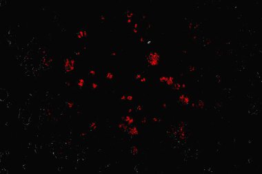 grungy renksiz soyut doku arkaplanı, kopya alan duvar kağıdı tasarımı konsepti