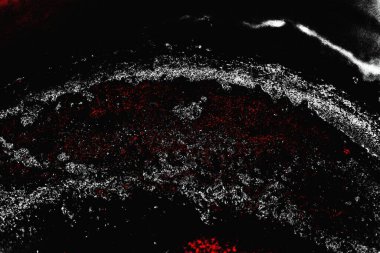 grungy renksiz soyut doku arkaplanı, kopya alan duvar kağıdı tasarımı konsepti