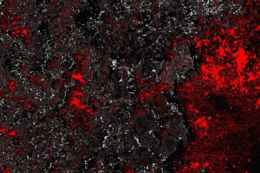 grungy renksiz soyut doku arkaplanı, kopya alan duvar kağıdı tasarımı konsepti