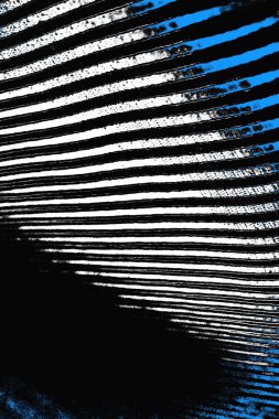 grungy renksiz soyut doku arkaplanı, kopya alan duvar kağıdı tasarımı konsepti