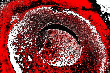 Boşluk duvar kağıdını, grunge arkaplanını, soyut renkli doku arkaplanını kopyala