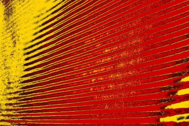 soyut kırmızı doku arkaplanı, duvar kağıdı tasarımı konseptini kopyala