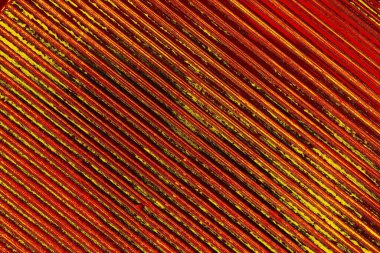 soyut kırmızı renk dokusu arkaplanı, boşluk duvar kağıdını kopyala