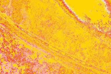 grungy renksiz soyut doku arkaplanı, kopya alan duvar kağıdı tasarımı konsepti