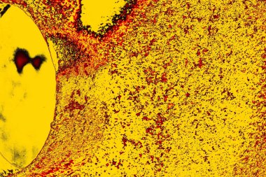 grungy renksiz soyut doku arkaplanı, kopya alan duvar kağıdı tasarımı konsepti