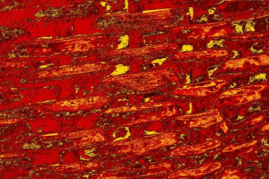 soyut kırmızı renk dokusu arkaplanı, boşluk duvar kağıdını kopyala