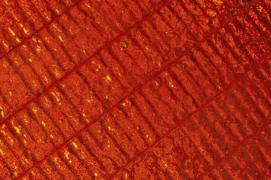 soyut kırmızı renk dokusu arkaplanı, boşluk duvar kağıdını kopyala