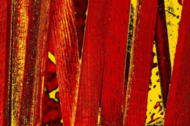 grungy renksiz soyut doku arkaplanı, kopya alan duvar kağıdı tasarımı konsepti