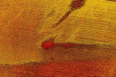 grungy renksiz soyut doku arkaplanı, kopya alan duvar kağıdı tasarımı konsepti