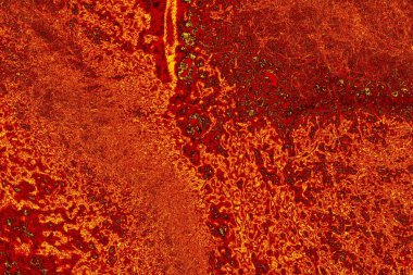 soyut kırmızı doku arkaplanı, duvar kağıdı tasarımı konseptini kopyala