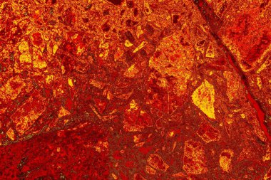 soyut kırmızı renk dokusu, arkaplan, boşluk duvar kağıdını kopyala