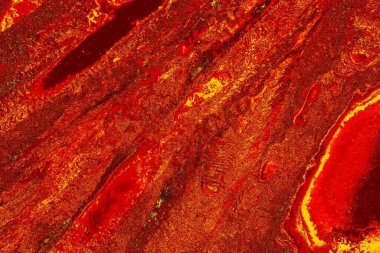 soyut kırmızı renk dokusu, arkaplan, boşluk duvar kağıdını kopyala