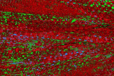 Boşluk duvar kağıdını, grunge arkaplanını, soyut renkli doku arkaplanını kopyala