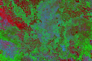 Boşluk duvar kağıdını, grunge arkaplanını, soyut renkli doku arkaplanını kopyala