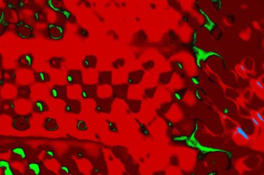  grunge arkaplanı, boşluk duvar kağıdını kopyala, soyut renkli doku arkaplanı