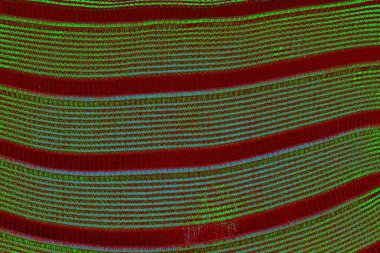 Boşluk duvar kağıdını, grunge arkaplanını, soyut renkli doku arkaplanını kopyala