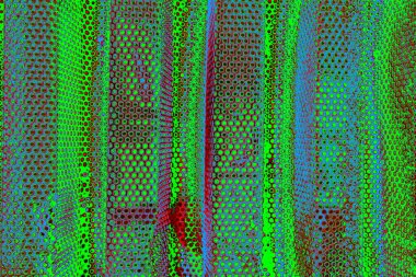  grunge arkaplanı, boşluk duvar kağıdını kopyala, soyut renkli doku arkaplanı