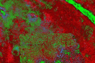 Boşluk duvar kağıdını, grunge arkaplanını, soyut renkli doku arkaplanını kopyala