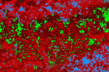  grunge arkaplanı, boşluk duvar kağıdını kopyala, soyut renkli doku arkaplanı