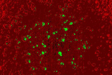 Boşluk duvar kağıdını, grunge arkaplanını, soyut renkli doku arkaplanını kopyala