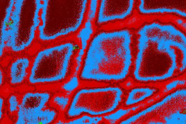  grunge arkaplanı, boşluk duvar kağıdını kopyala, soyut renkli doku arkaplanı