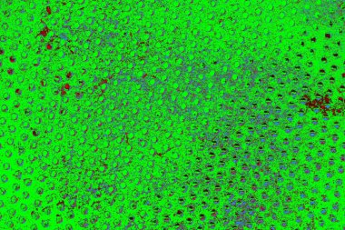 Boşluk duvar kağıdını, grunge arkaplanını, soyut renkli doku arkaplanını kopyala