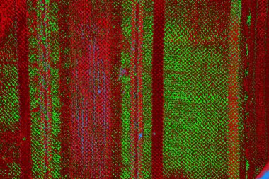  grunge arkaplanı, boşluk duvar kağıdını kopyala, soyut renkli doku arkaplanı