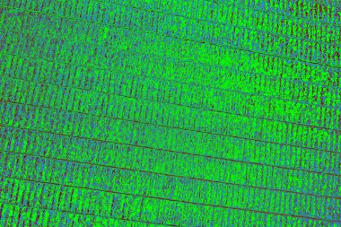 Boşluk duvar kağıdını, grunge arkaplanını, soyut renkli doku arkaplanını kopyala