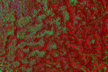 Boşluk duvar kağıdını, grunge arkaplanını, soyut renkli doku arkaplanını kopyala