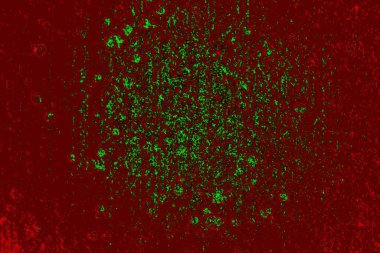 Boşluk duvar kağıdını, grunge arkaplanını, soyut renkli doku arkaplanını kopyala