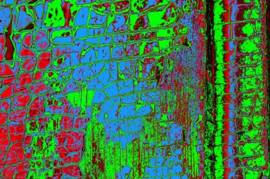 Boşluk duvar kağıdını, grunge arkaplanını, soyut renkli doku arkaplanını kopyala