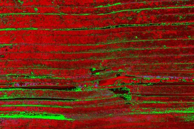 Boşluk duvar kağıdını, grunge arkaplanını, soyut renkli doku arkaplanını kopyala