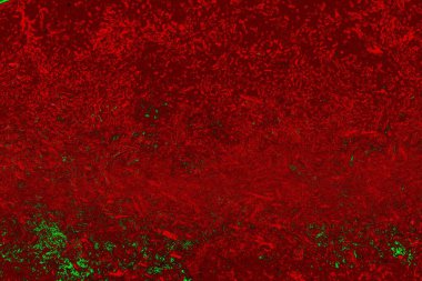 Boşluk duvar kağıdını, grunge arkaplanını, soyut renkli doku arkaplanını kopyala