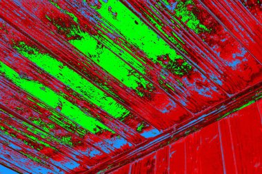  grunge arkaplanı, boşluk duvar kağıdını kopyala, soyut renkli doku arkaplanı