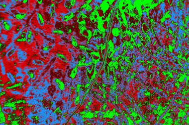  grunge arkaplanı, boşluk duvar kağıdını kopyala, soyut renkli doku arkaplanı