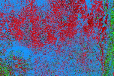  grunge arkaplanı, boşluk duvar kağıdını kopyala, soyut renkli doku arkaplanı