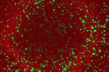 Boşluk duvar kağıdını, grunge arkaplanını, soyut renkli doku arkaplanını kopyala