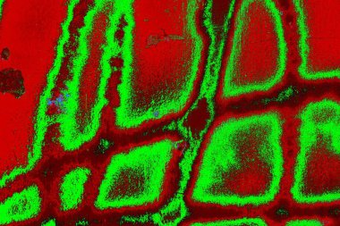  grunge arkaplanı, boşluk duvar kağıdını kopyala, soyut renkli doku arkaplanı