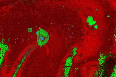  grunge arkaplanı, boşluk duvar kağıdını kopyala, soyut renkli doku arkaplanı