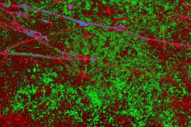 Boşluk duvar kağıdını, grunge arkaplanını, soyut renkli doku arkaplanını kopyala