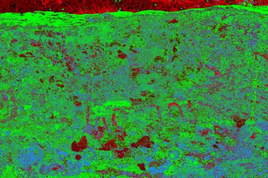 Boşluk duvar kağıdını, grunge arkaplanını, soyut renkli doku arkaplanını kopyala