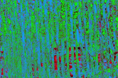  grunge arkaplanı, boşluk duvar kağıdını kopyala, soyut renkli doku arkaplanı