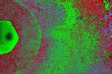 Boşluk duvar kağıdını, grunge arkaplanını, soyut renkli doku arkaplanını kopyala