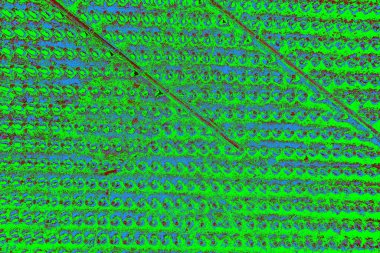 Boşluk duvar kağıdını, grunge arkaplanını, soyut renkli doku arkaplanını kopyala