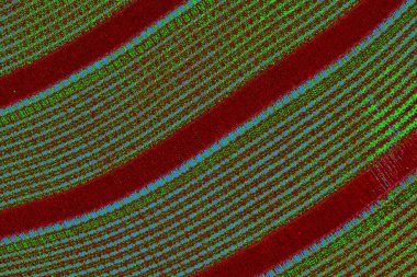 Boşluk duvar kağıdını, grunge arkaplanını, soyut renkli doku arkaplanını kopyala