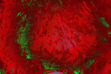 Boşluk duvar kağıdını, grunge arkaplanını, soyut renkli doku arkaplanını kopyala