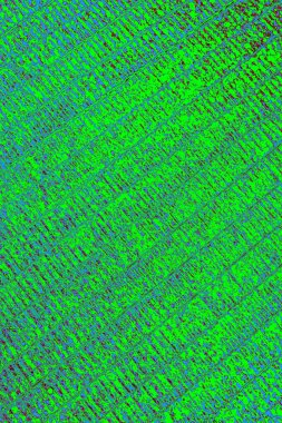 Boşluk duvar kağıdını, grunge arkaplanını, soyut renkli doku arkaplanını kopyala