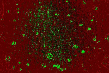 Boşluk duvar kağıdını, grunge arkaplanını, soyut renkli doku arkaplanını kopyala