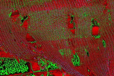 Boşluk duvar kağıdını, grunge arkaplanını, soyut renkli doku arkaplanını kopyala